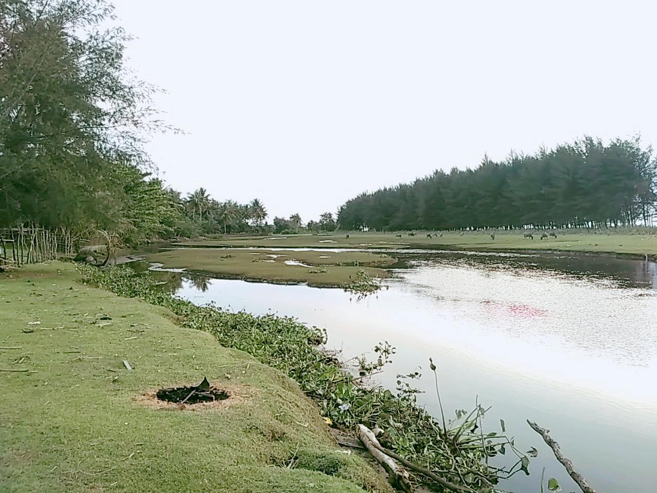 Sandee Pantai Labuhan Tanjak