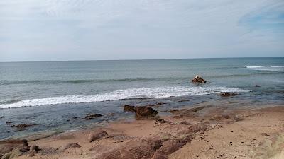 Sandee - Plage Du Marais Girard A Bretignolles-Sur-Mer