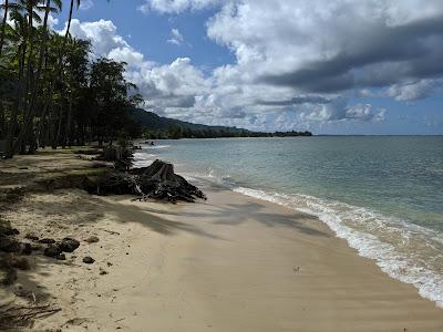 Sandee - Punaluu Beach Park