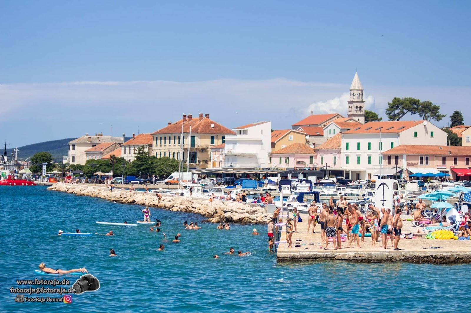 Sandee Biograd