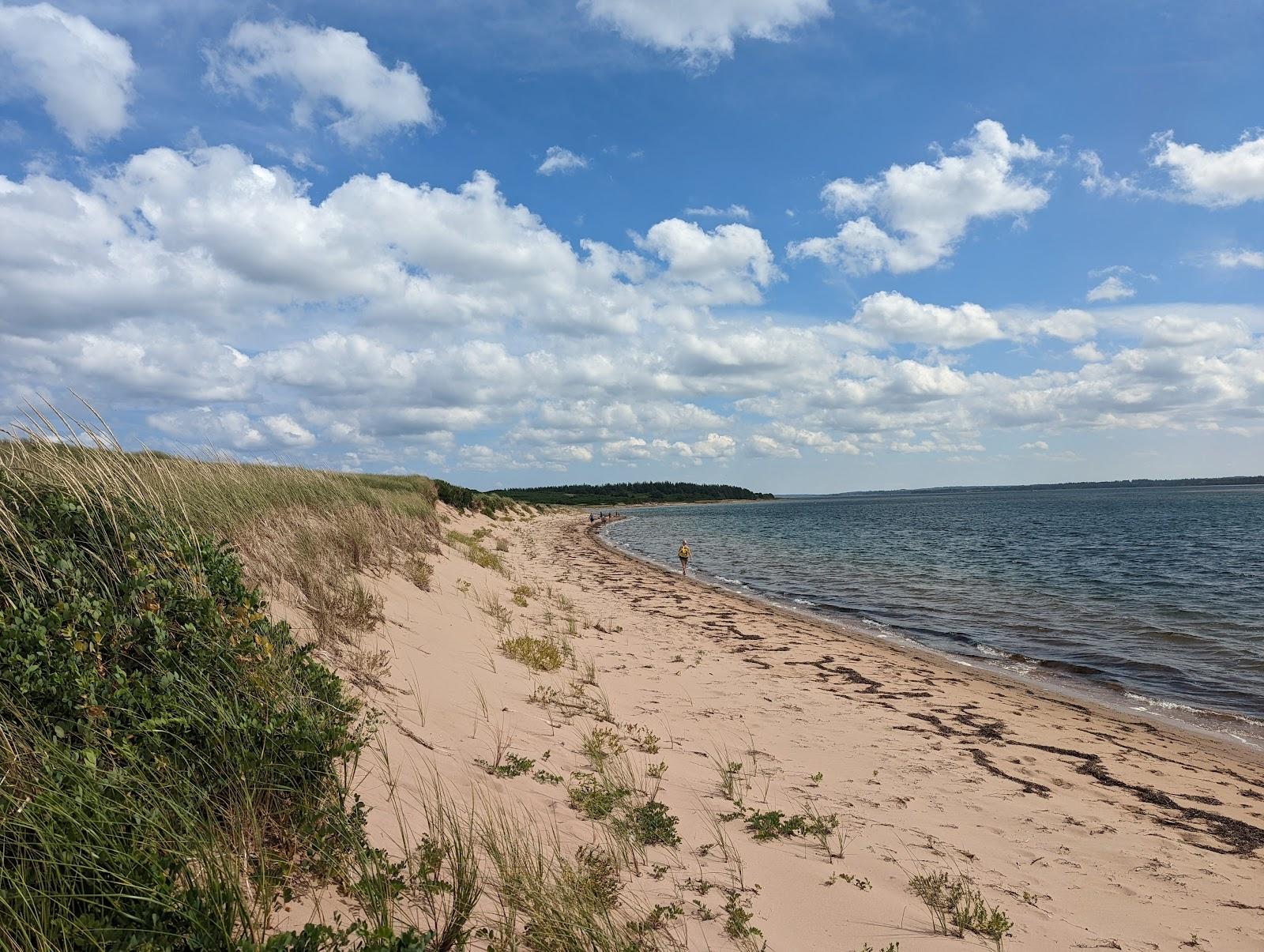 Sandee Panmure Island Provincial Park