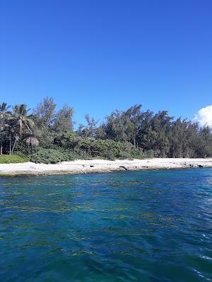 Sandee - Papailoa Beach