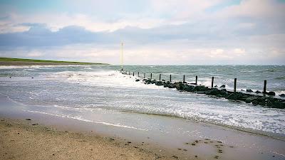 Sandee - Waddenstrand