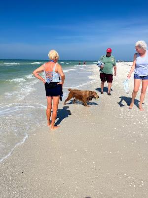 Sandee - Keewaydin Island Beach