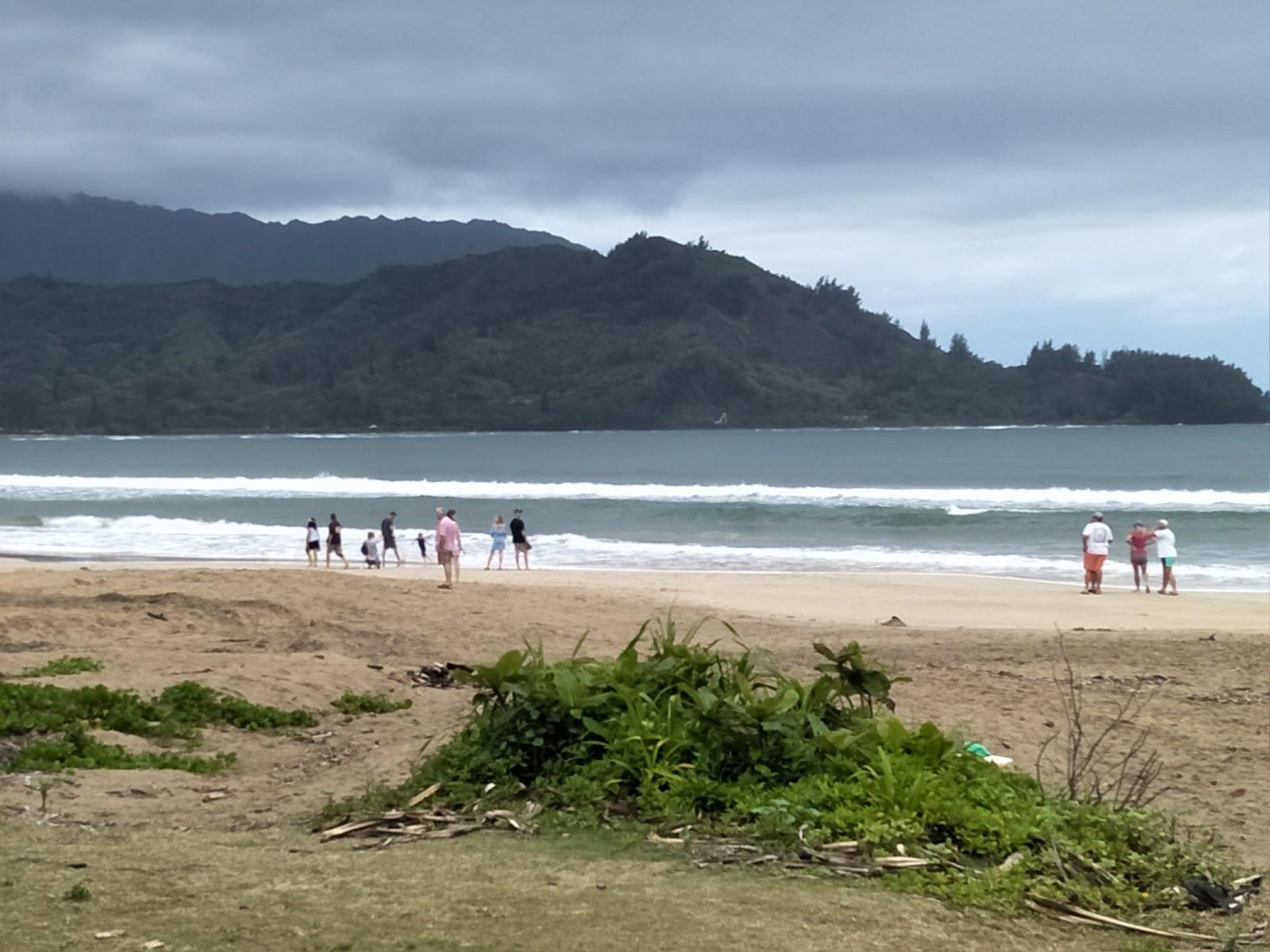 Sandee - Hanalei Beach