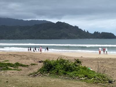 Sandee - Hanalei Beach