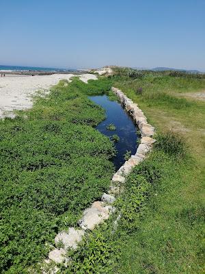 Sandee - Praia De Rio De Moinhos