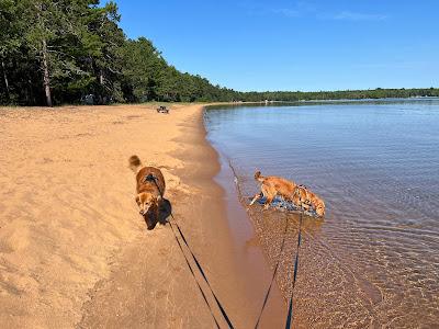 Sandee - Second Sand Beach Park