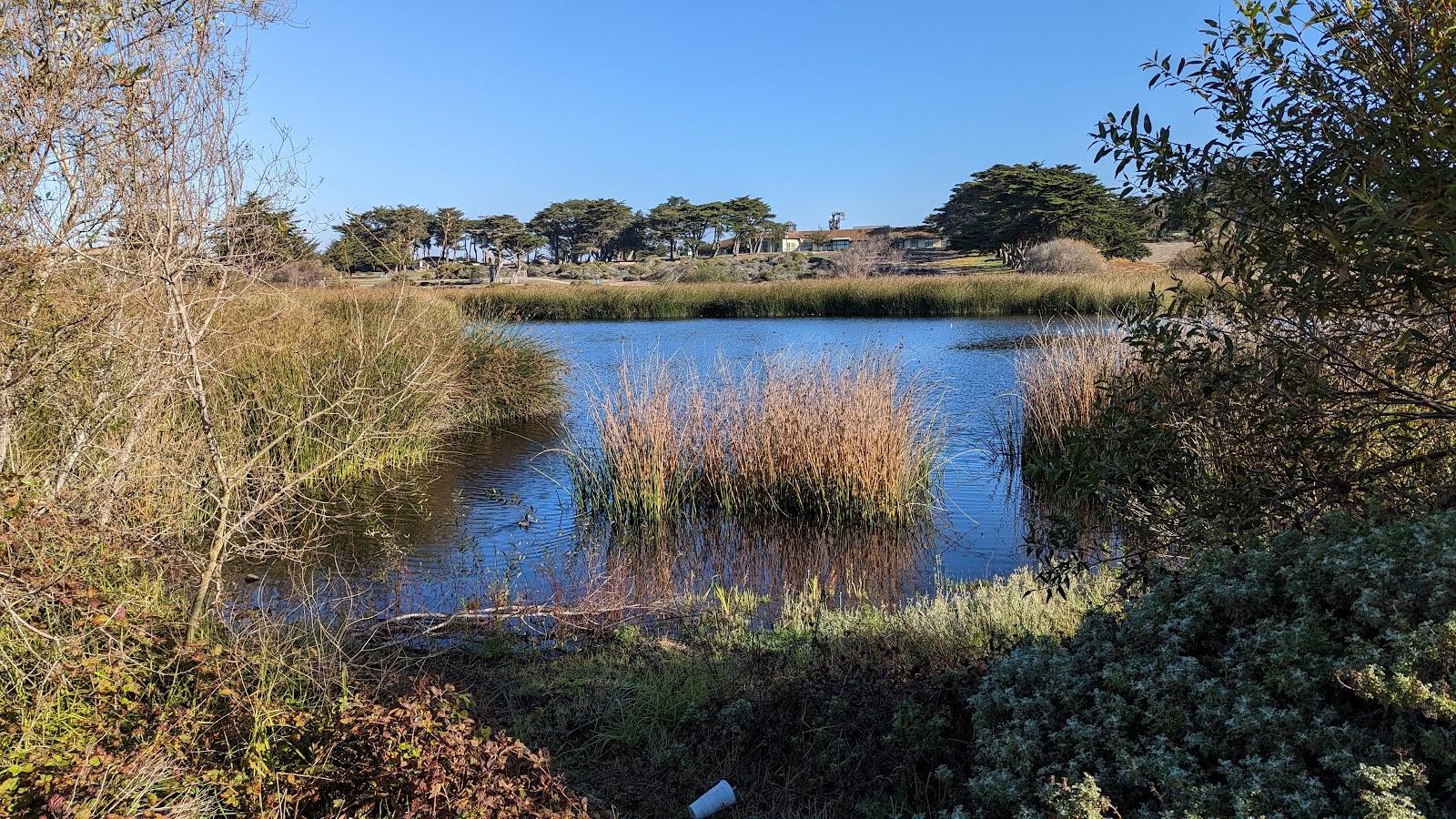 Sandee Locke Paddon Park
