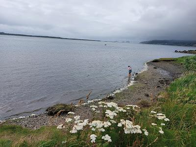 Sandee - Netarts Bay Shellfish