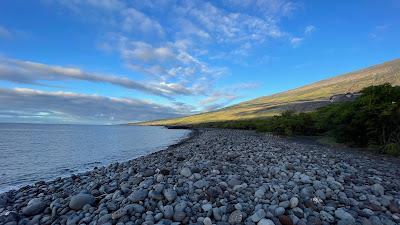 Sandee - Nuu Bay