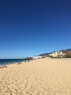 Sandee - Playa De Jandia