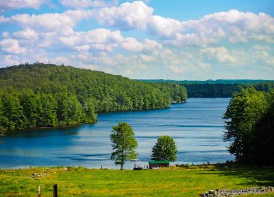 Sandee - Asnacomet Pond