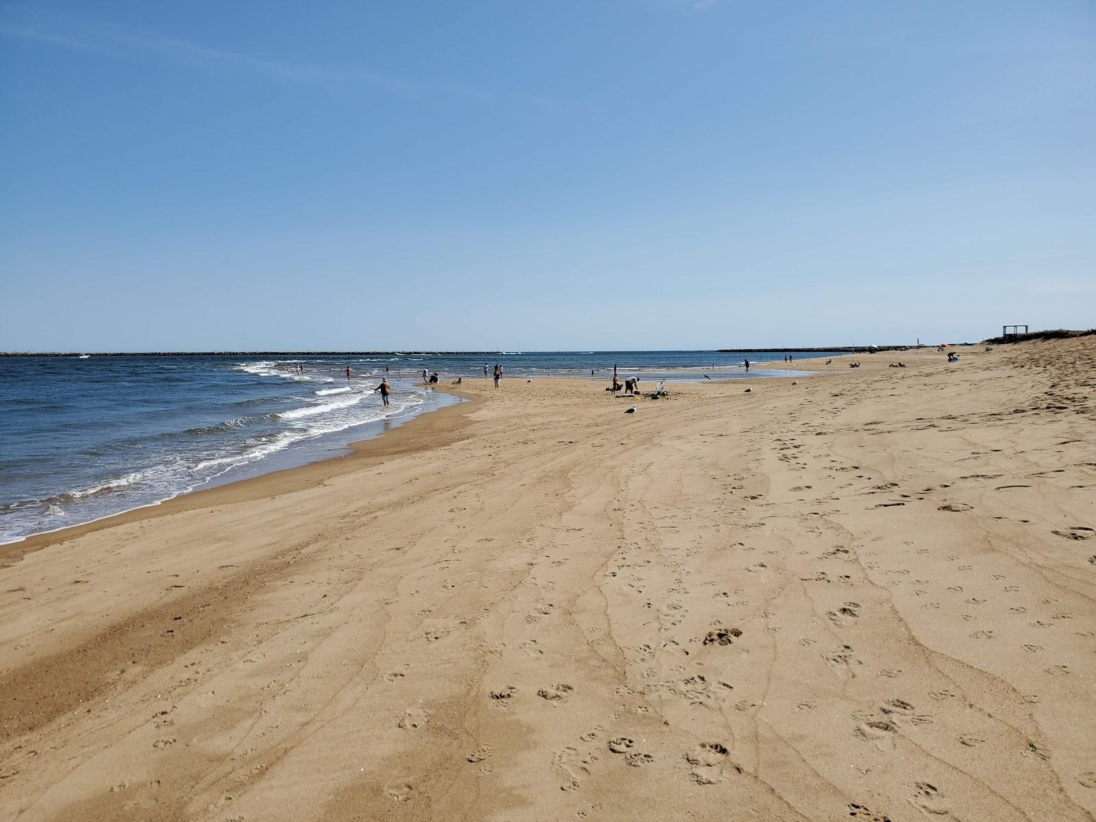 Sandee Plum Island Beach Photo