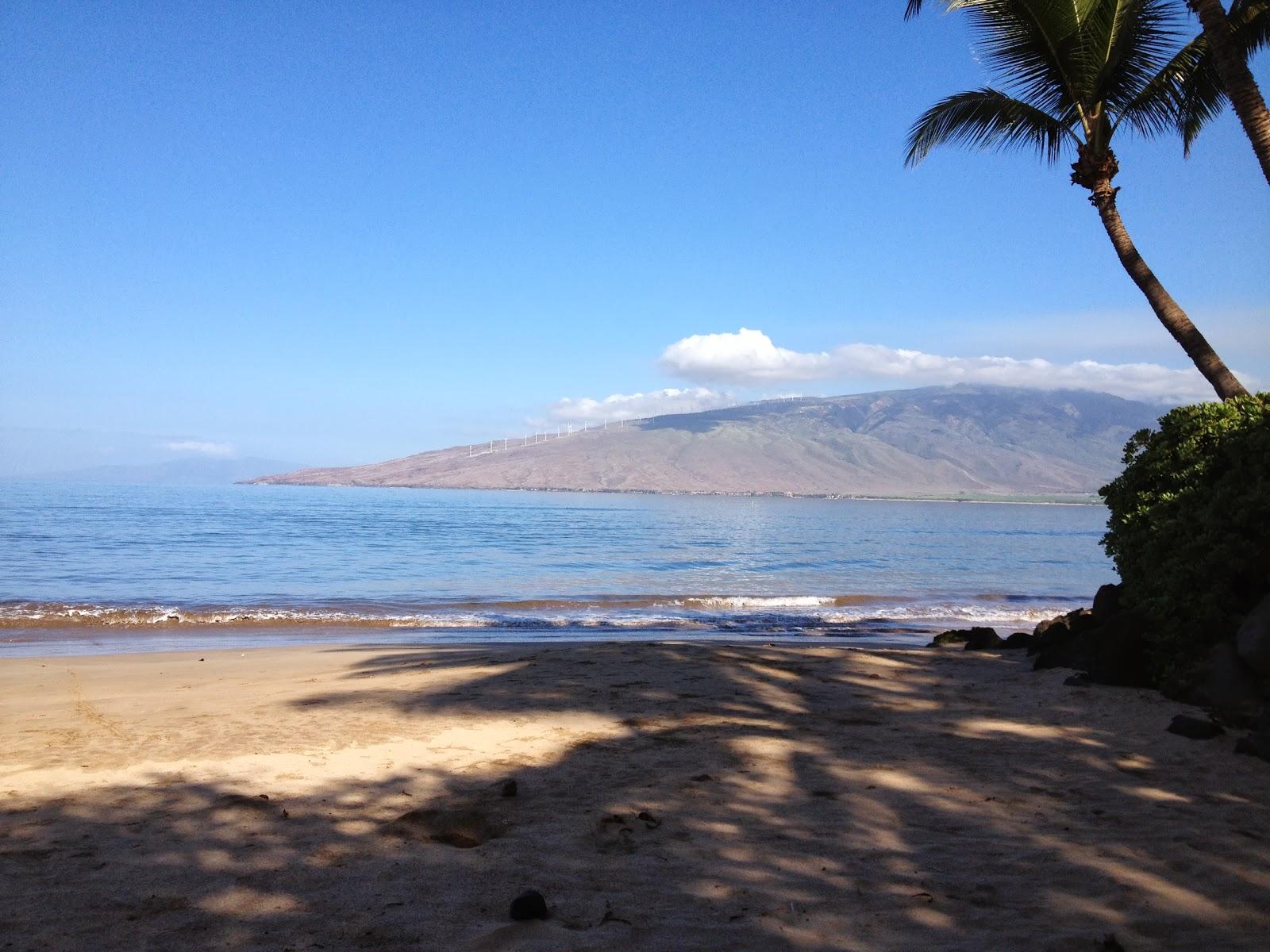 Sandee - Kalepolepo Beach Park