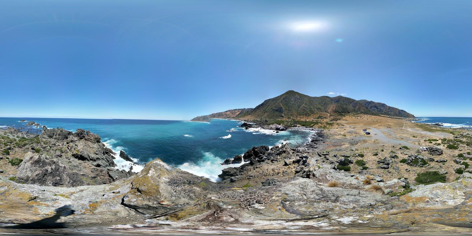 Sandee Cape Palliser