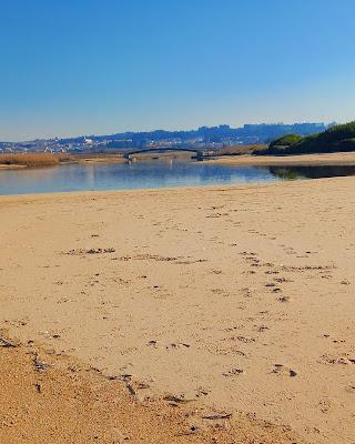 Sandee - Dunas De Esmoriz / Paramos