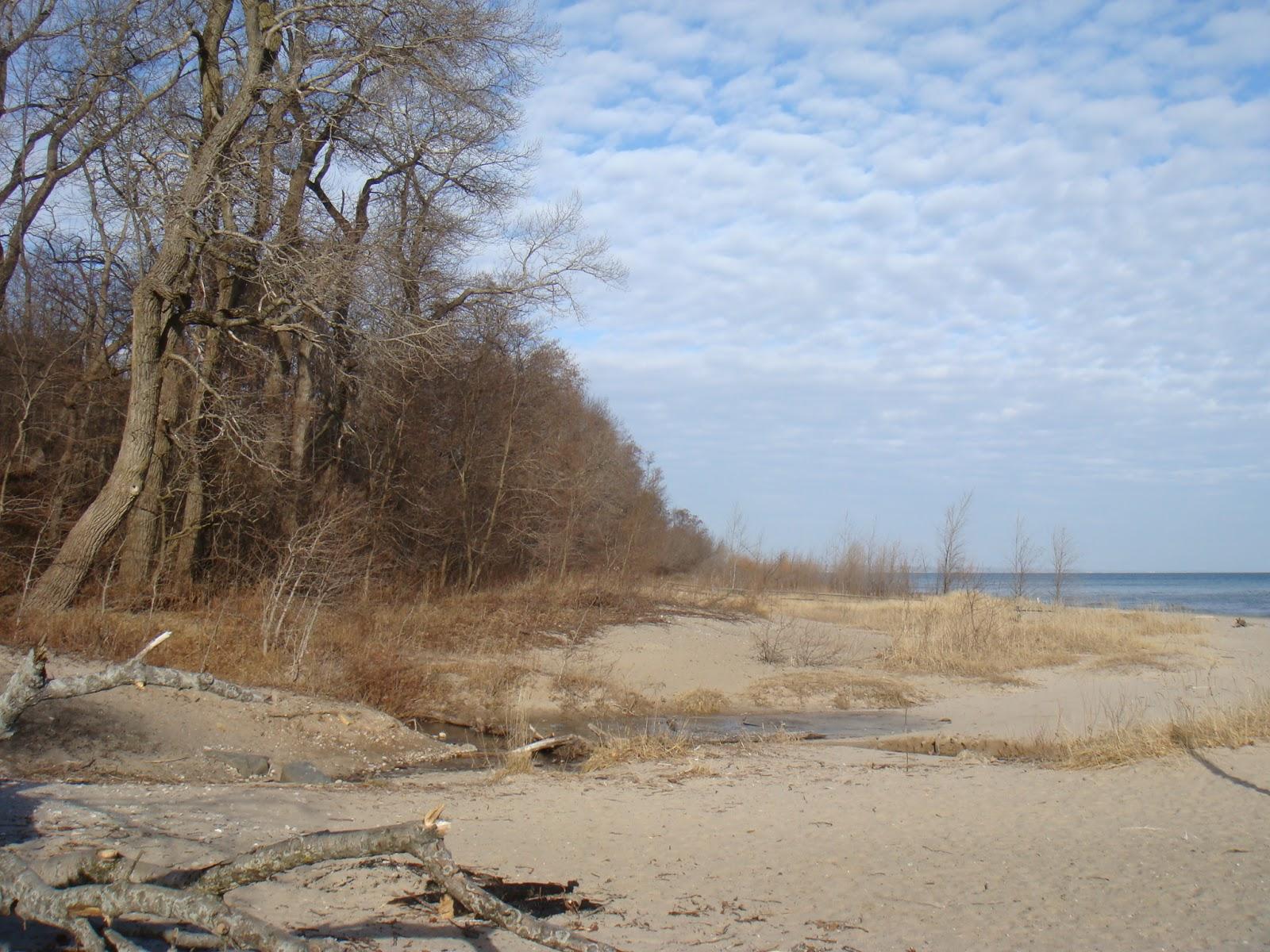 Sandee Tietjen Beach