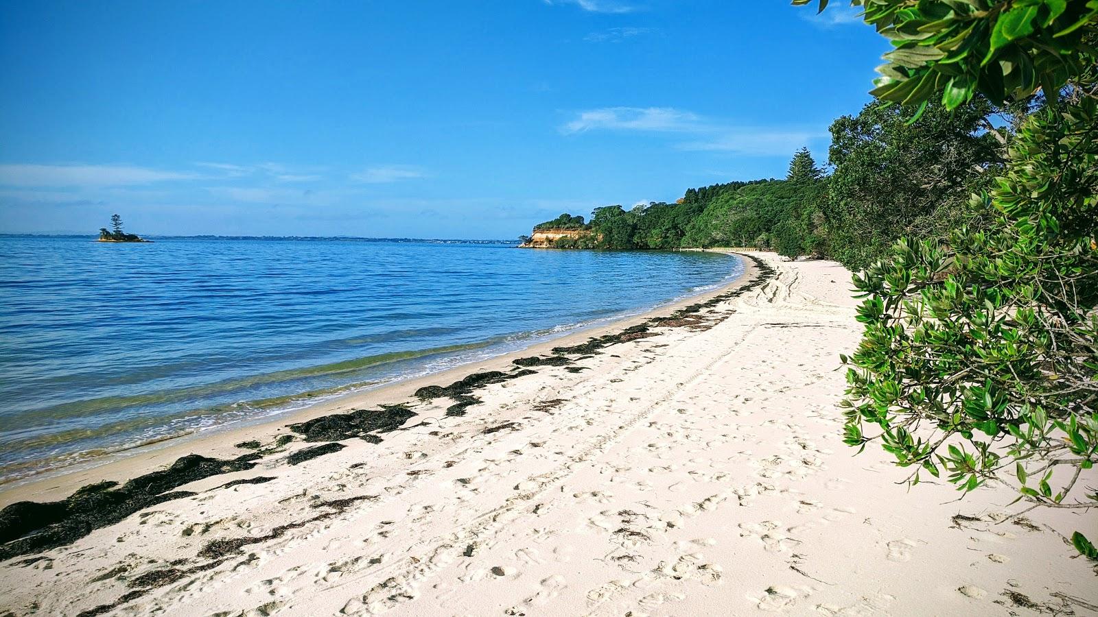 Sandee Matakawau Beach