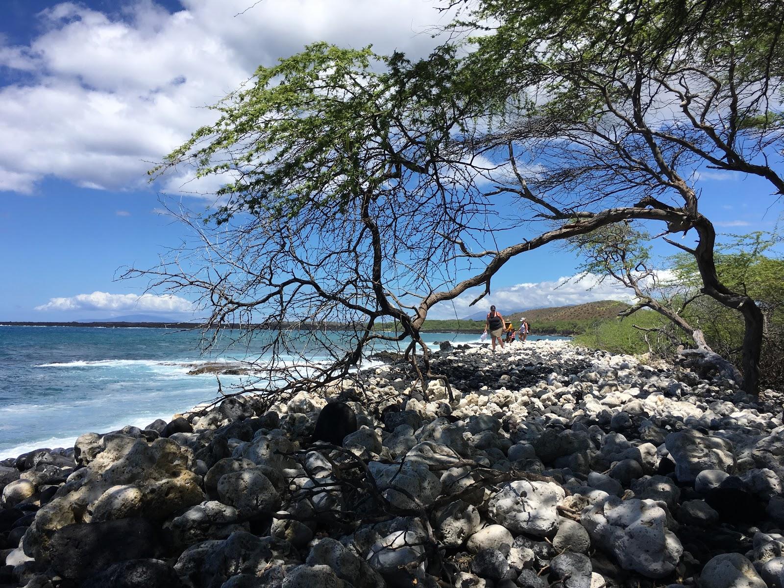 Sandee - La Perouse Bay