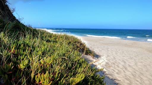 Sandee Beach Torrao Do Lameiro Photo