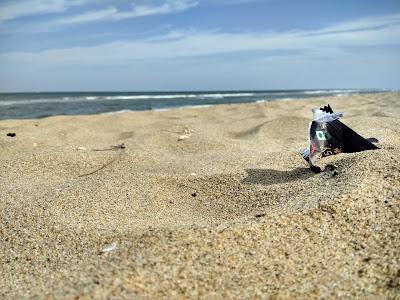 Sandee - Thiruvalluvar Nagar Beach