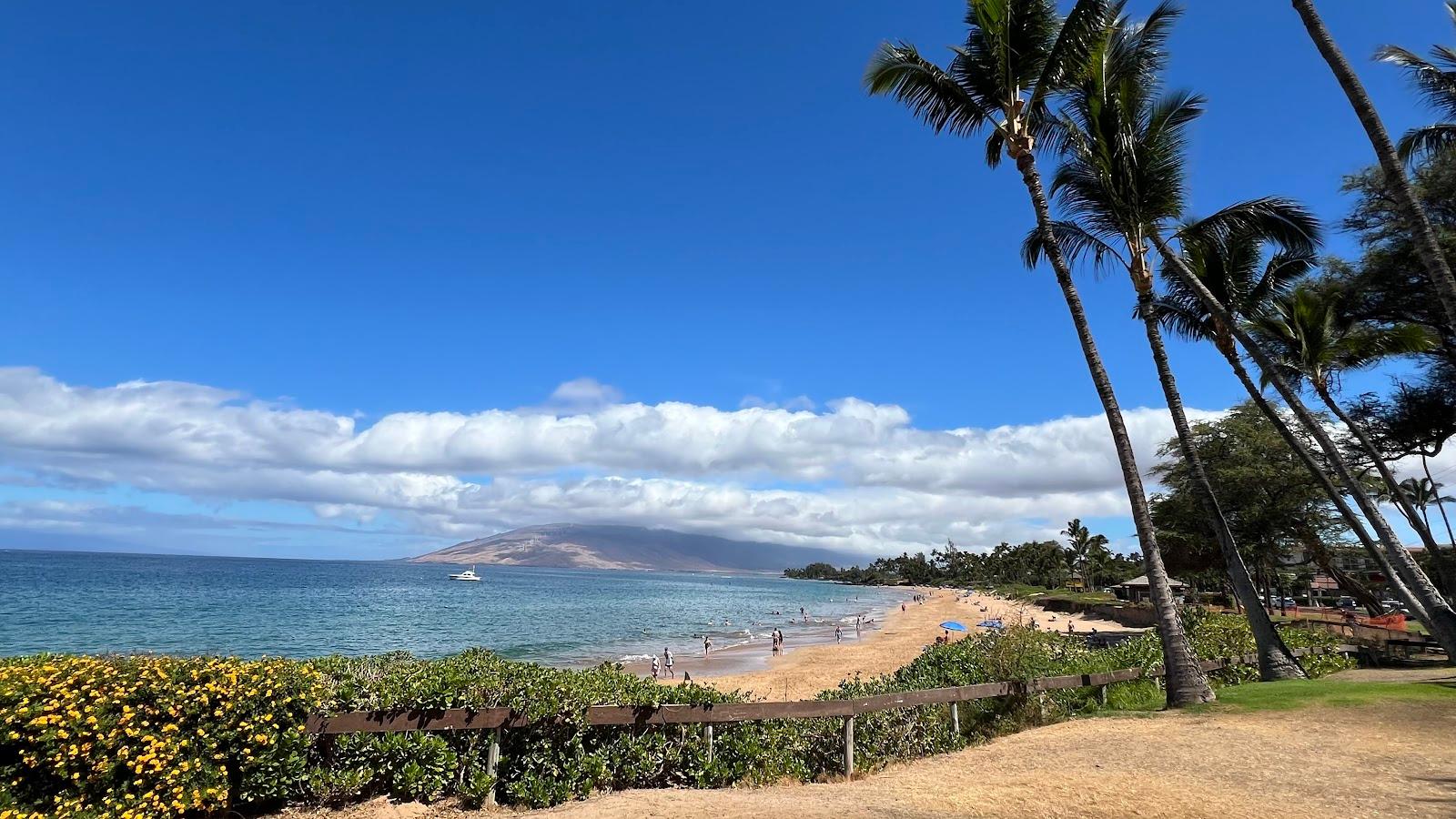 Sandee Kamaole Beach Park I Photo