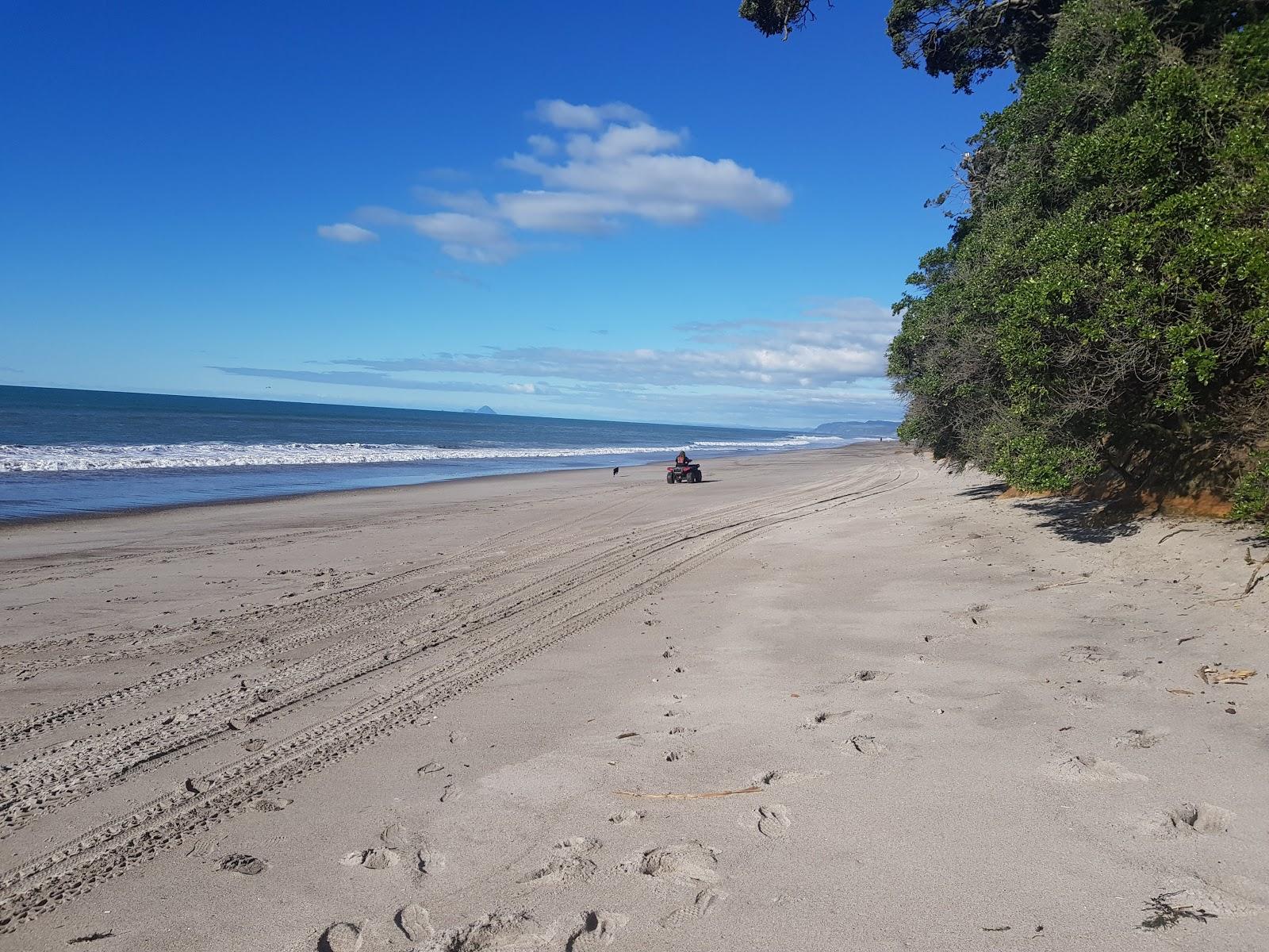 Sandee Bay Of Plenty Photo