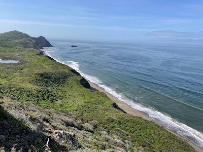 Sandee - Wildcat Beach