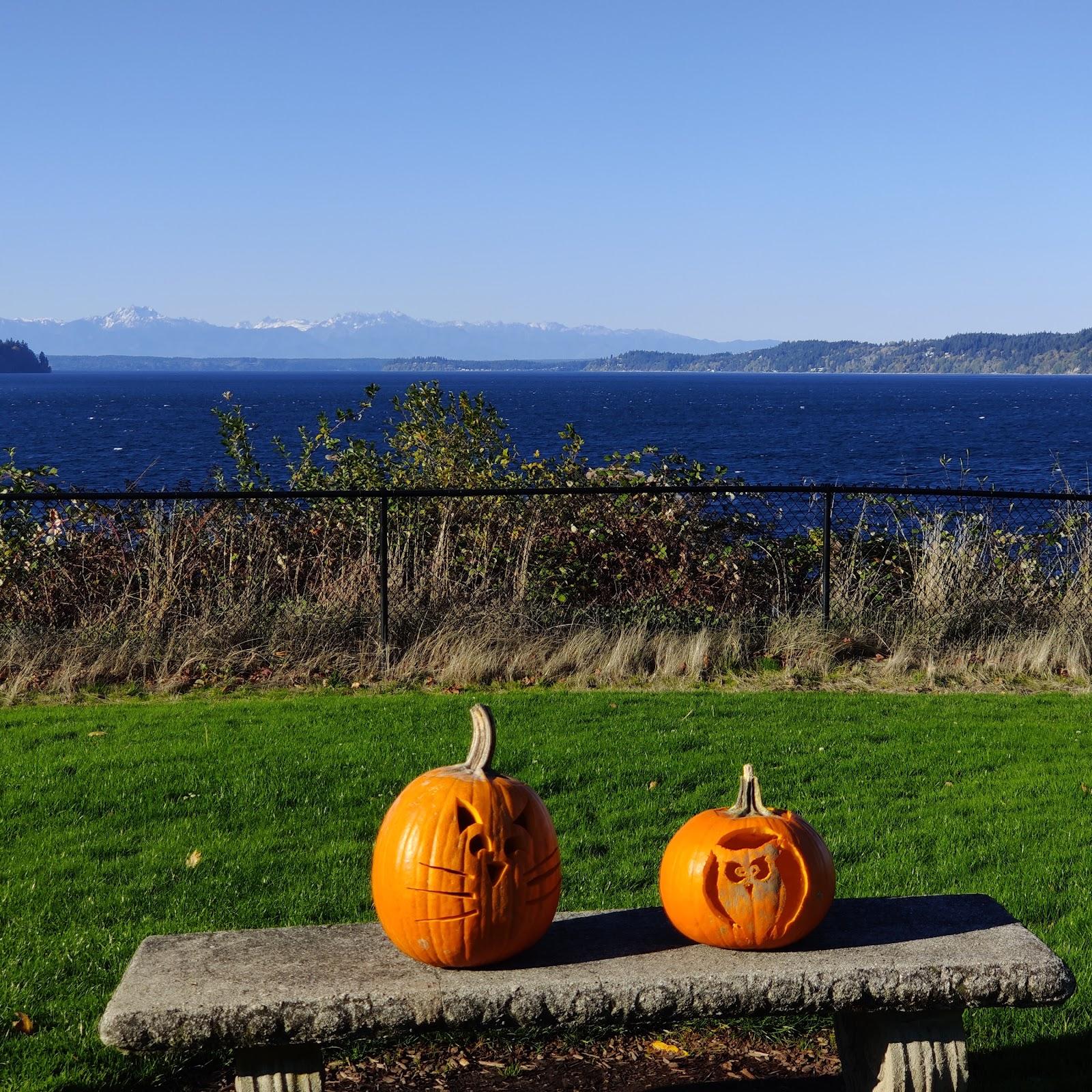 Sandee - Steilacoom Waterfront Lookout Point