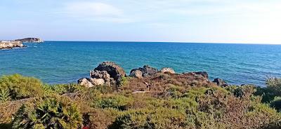 Sandee - Spiaggia Torre San Nicola