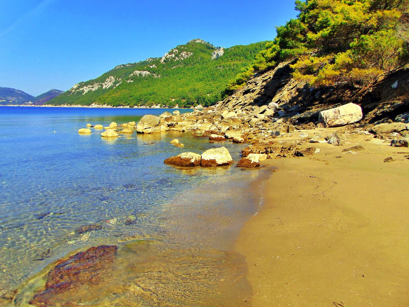 Sandee Beach Olipa