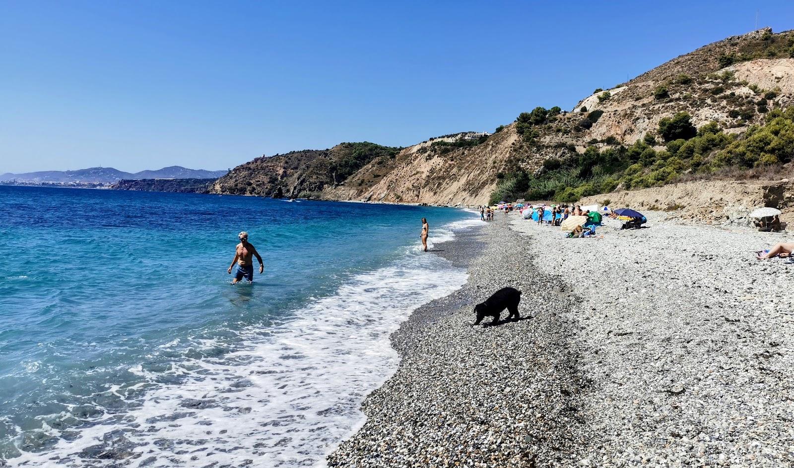 Sandee - Playa De Las Alberquillas