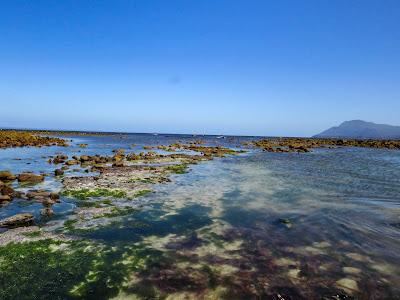 Sandee - Kommetjie