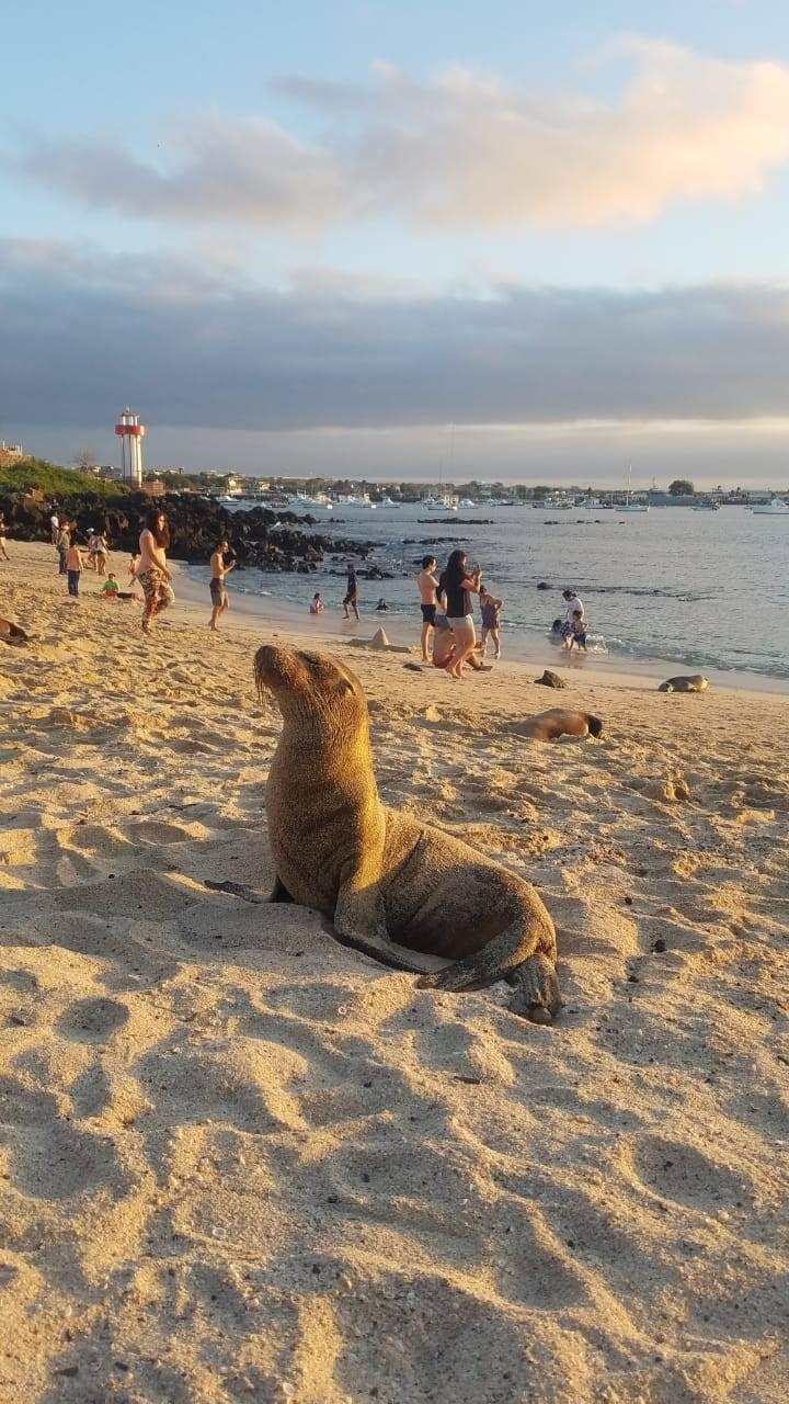 Sandee - Puerto Baquerizo Moreno