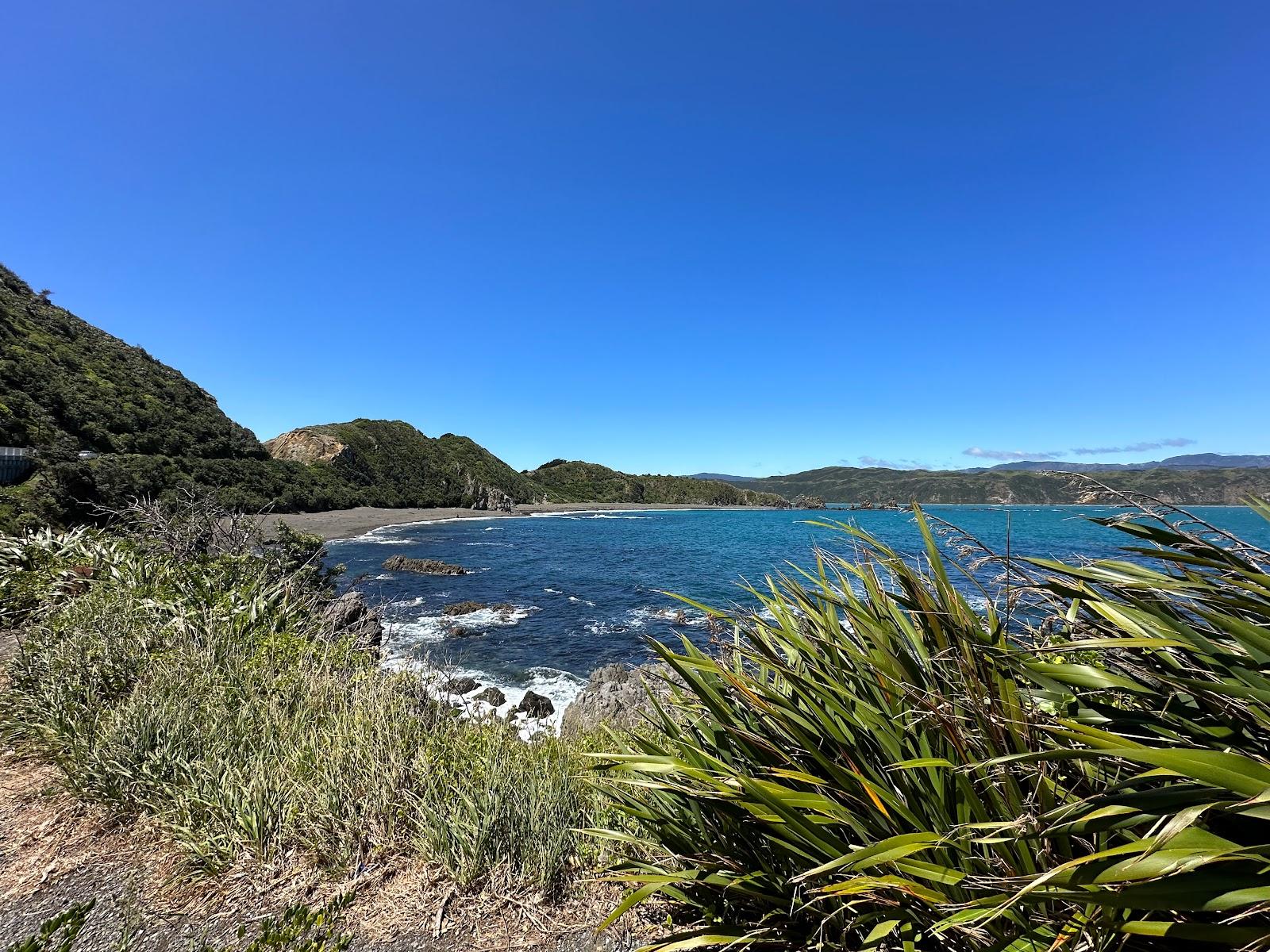 Sandee Hataitai Beach