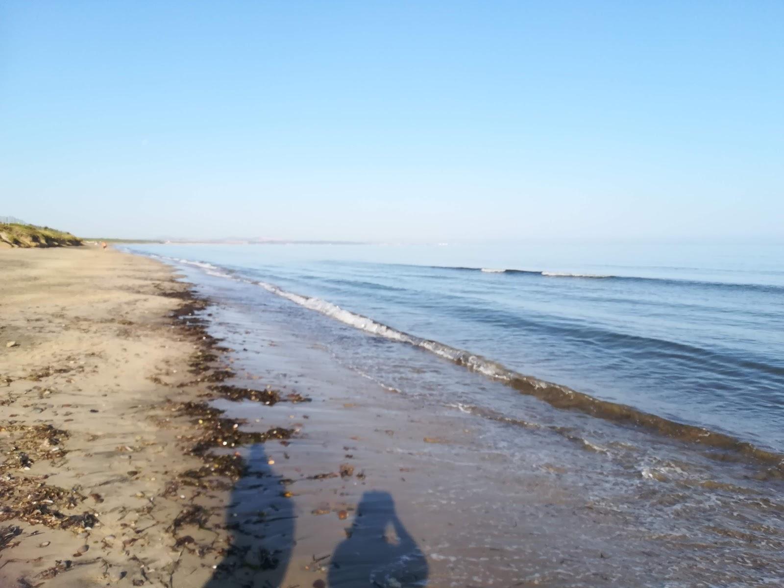 Sandee Spiaggia Del Nono Pettine