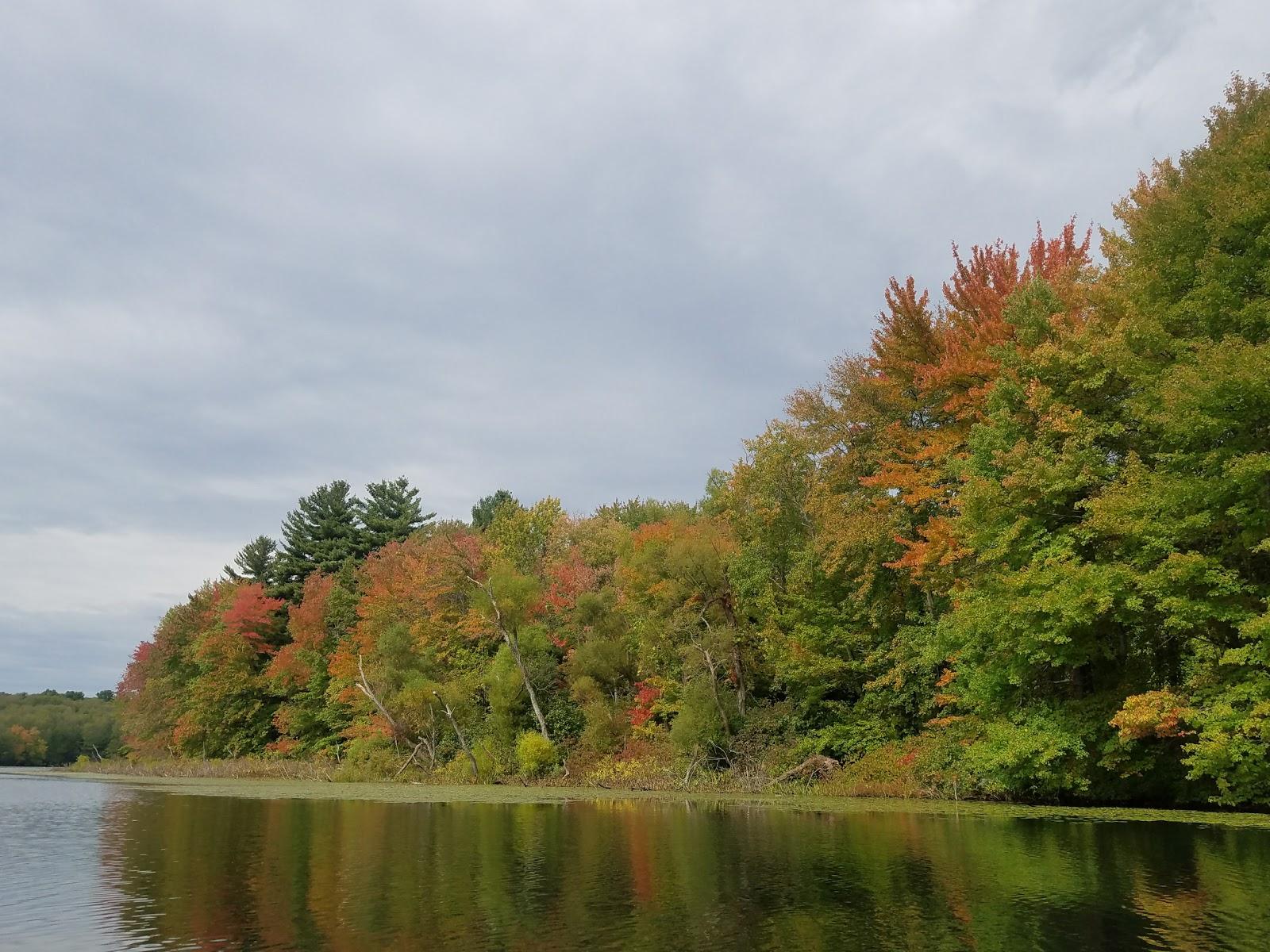 Sandee - Stump Pond