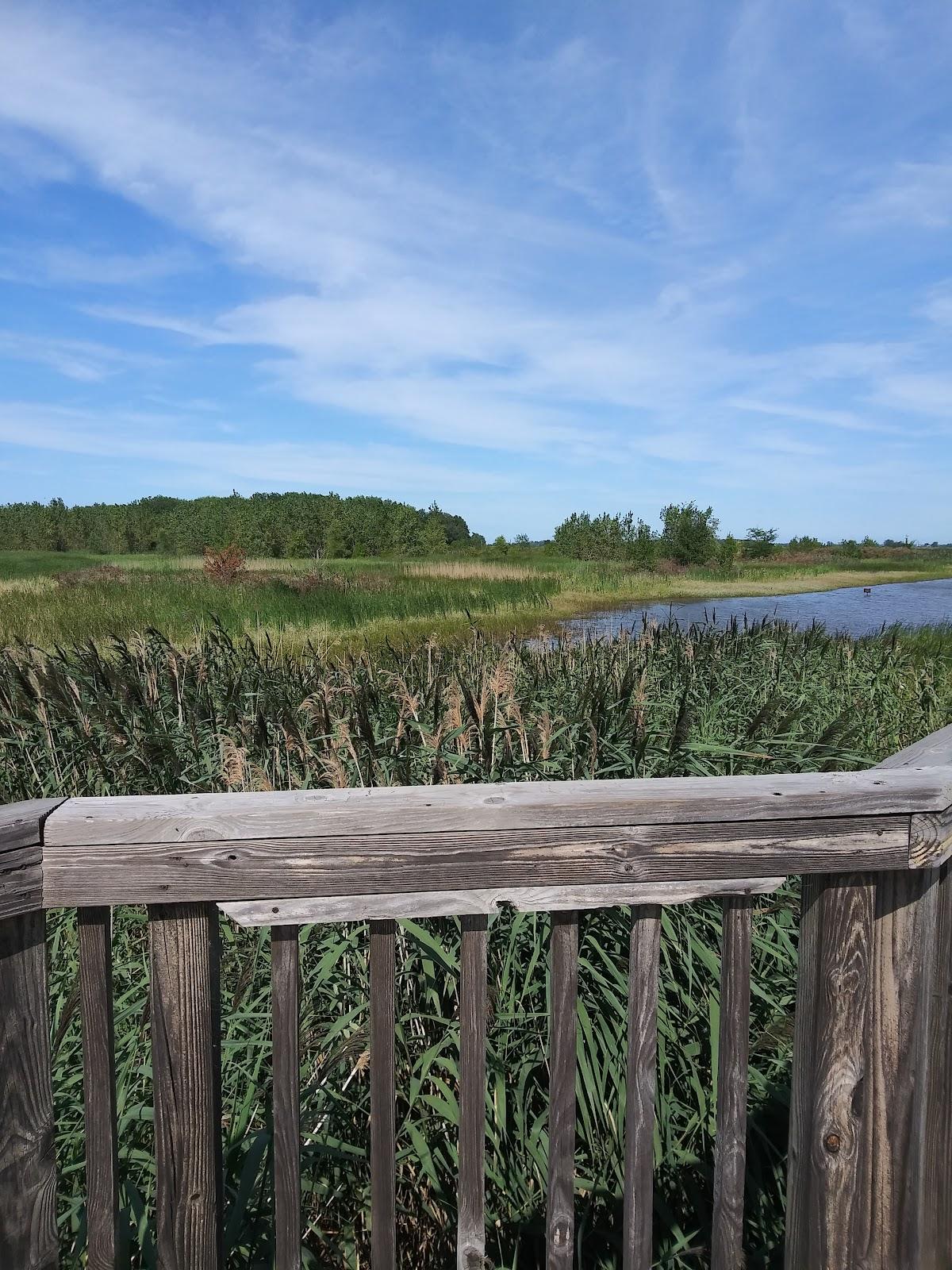 Sandee Pickerel Inlet Photo