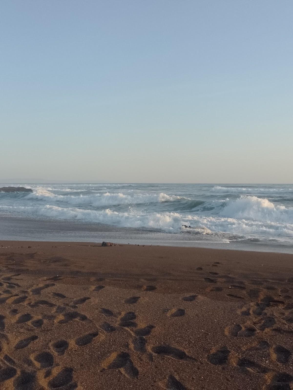 Sandee El Toro Beach