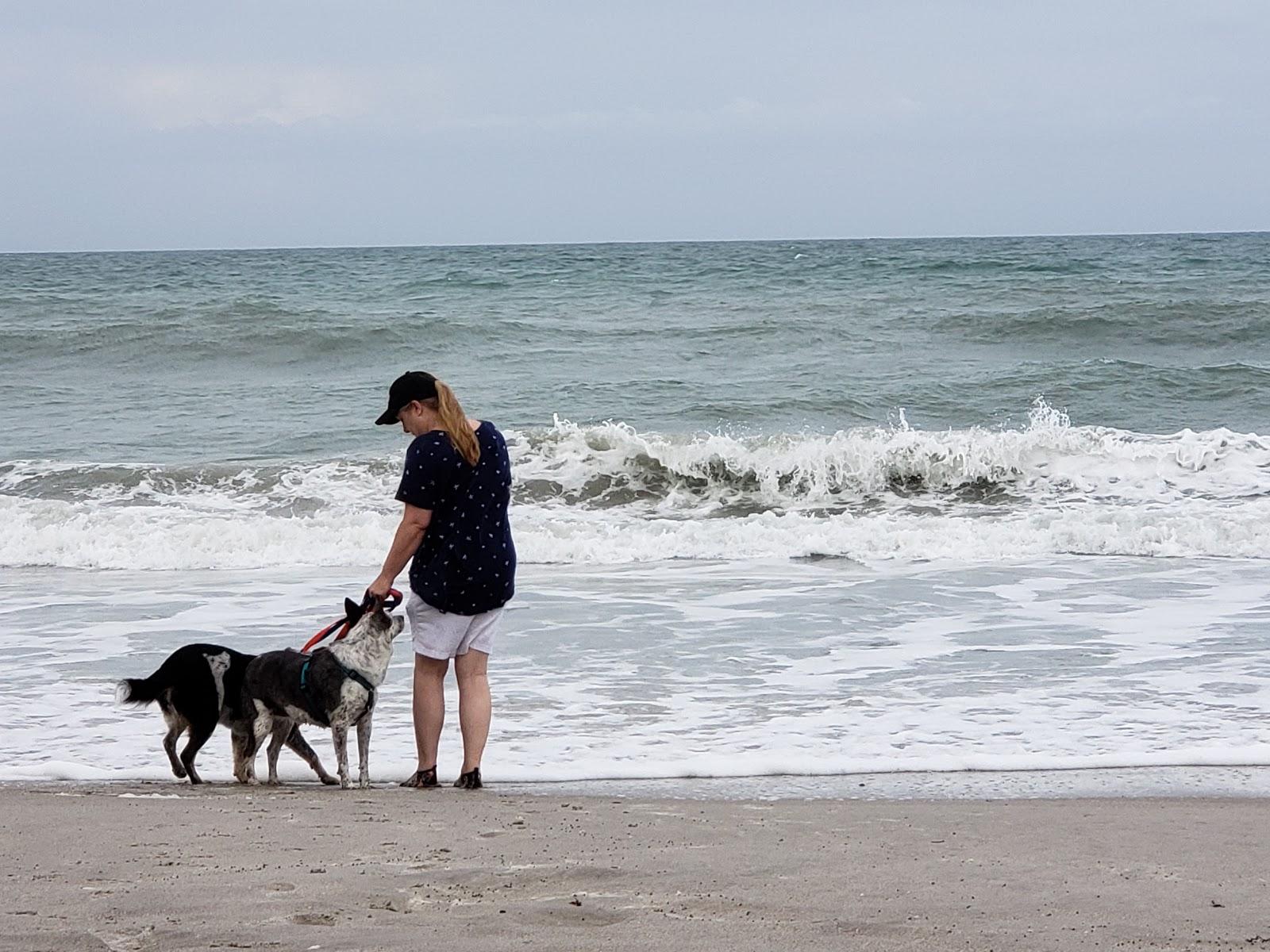 Sandee - Canova Beach Park