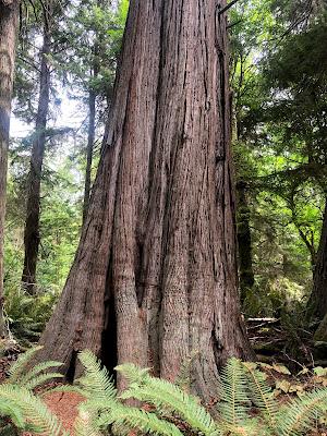 Sandee - South Whidbey State Park