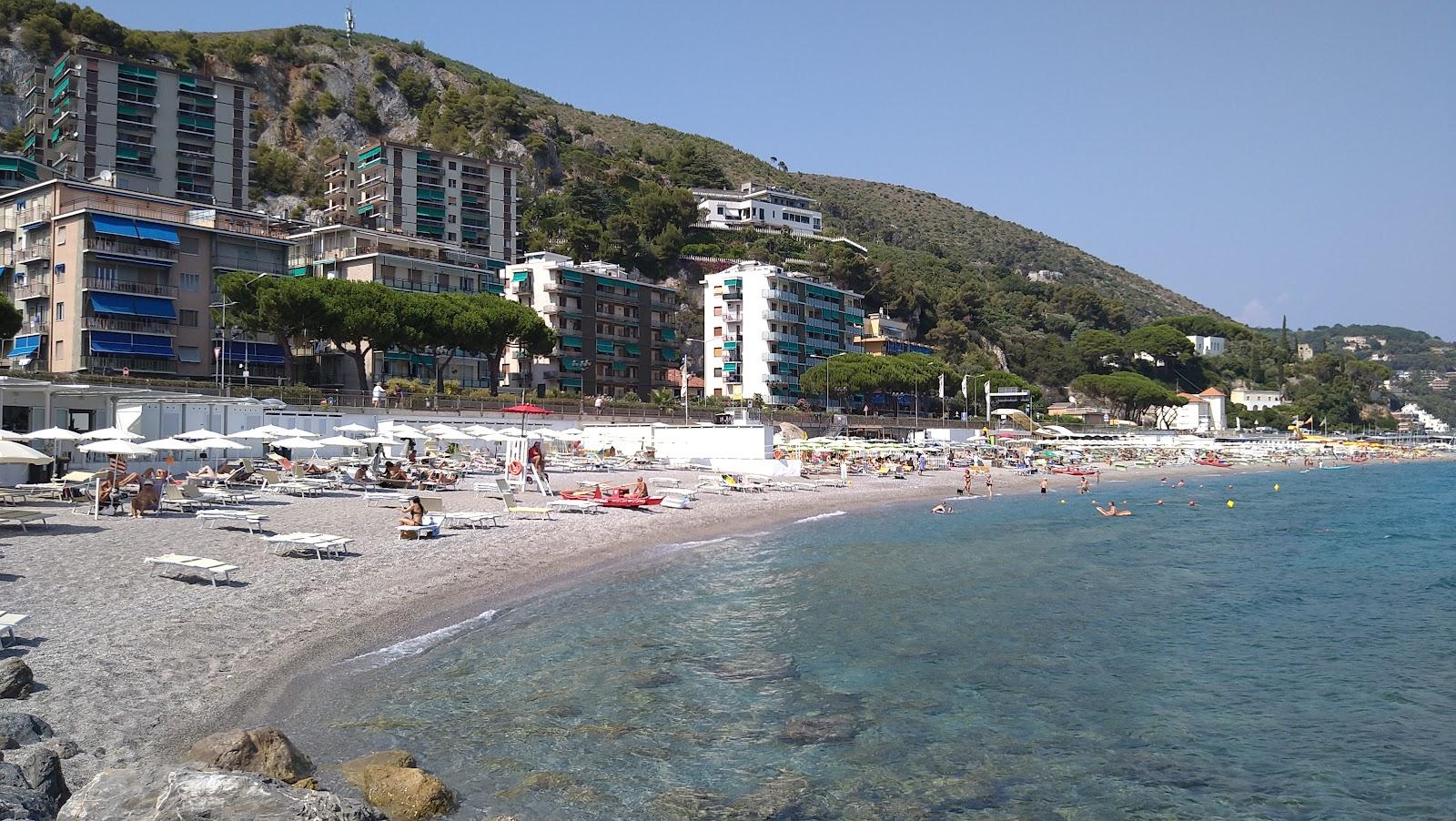 Sandee Sportorno
