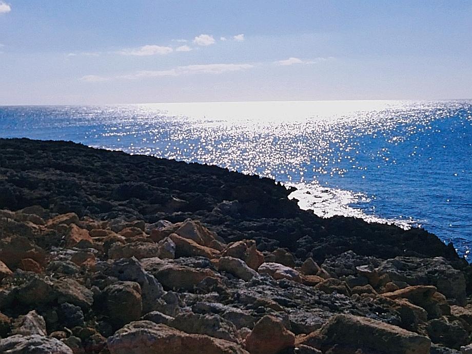 Sandee Lido Gandoli