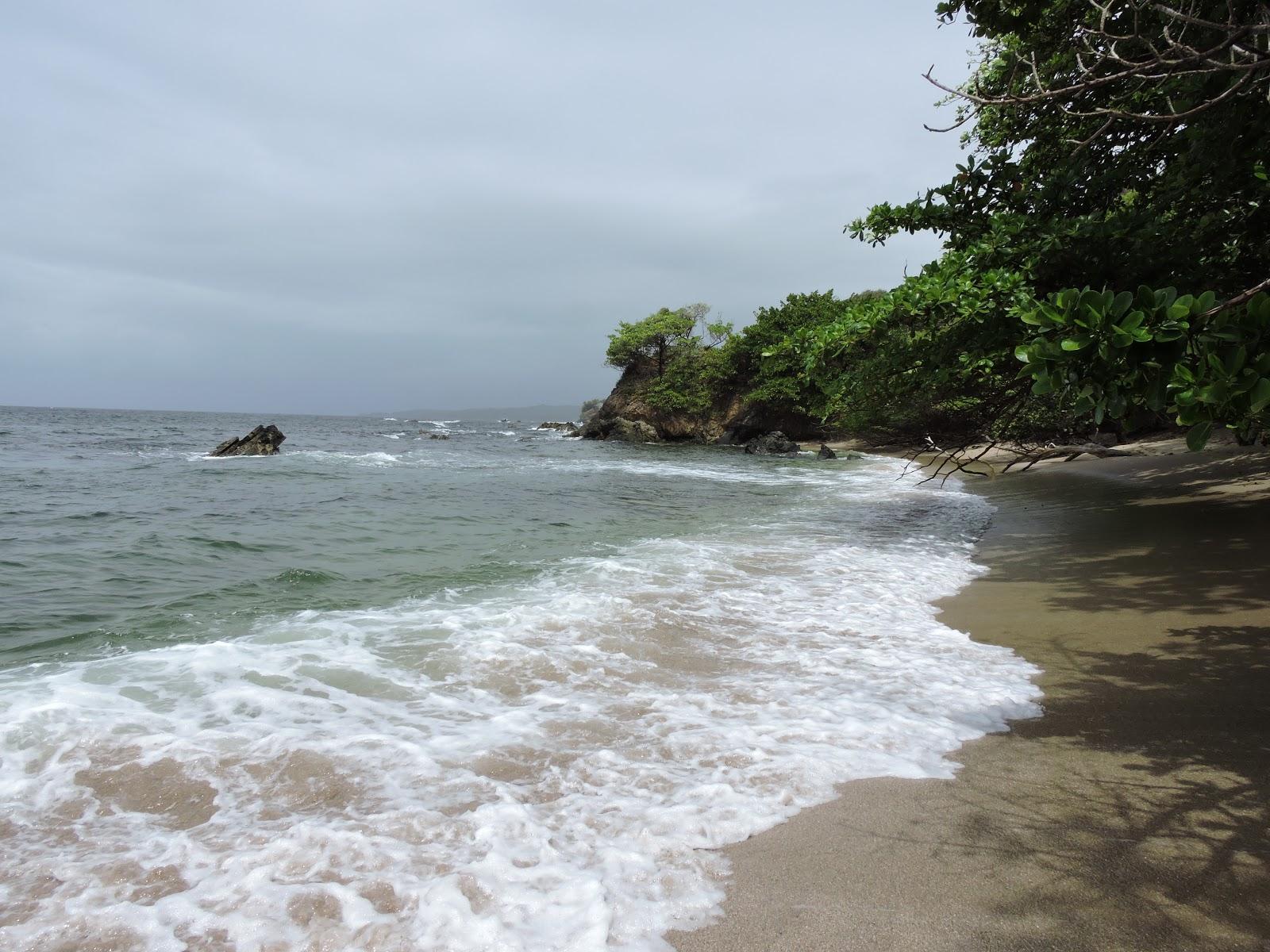 Sandee - La Foret Beach/Forest Point