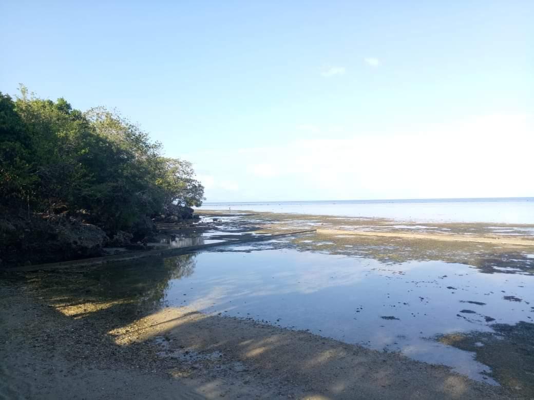 Sandee Justos Vineyard Beach Resort