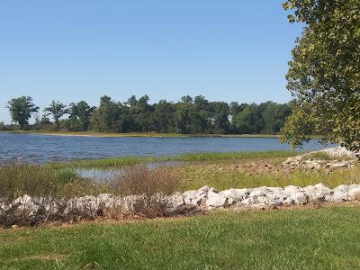 Sandee - Crab Orchard Beach