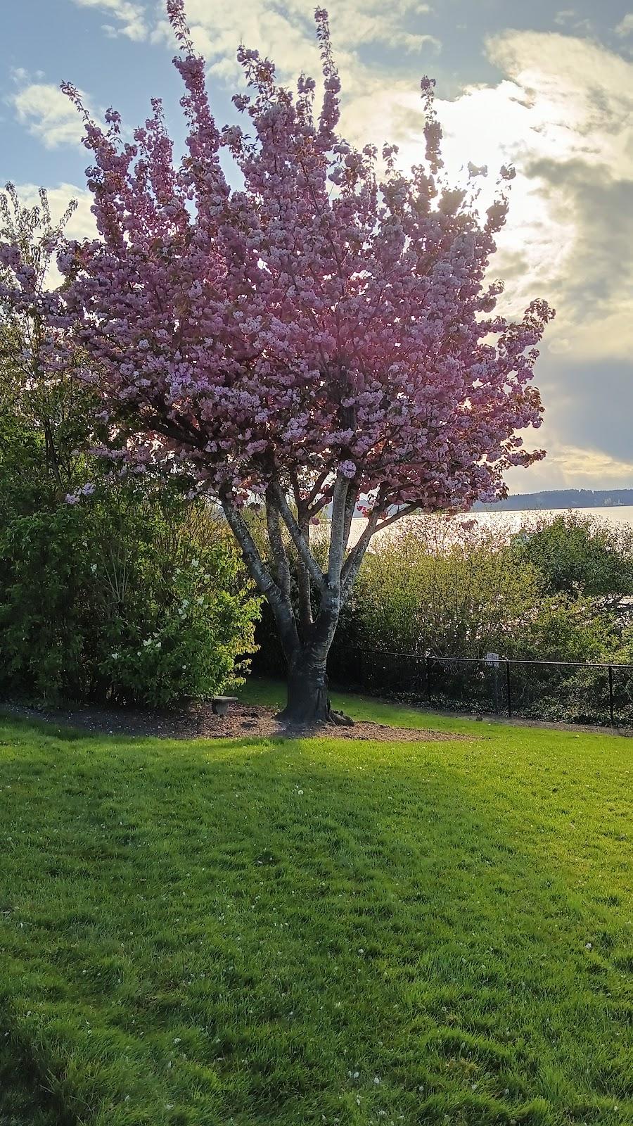 Sandee - Steilacoom Waterfront Lookout Point