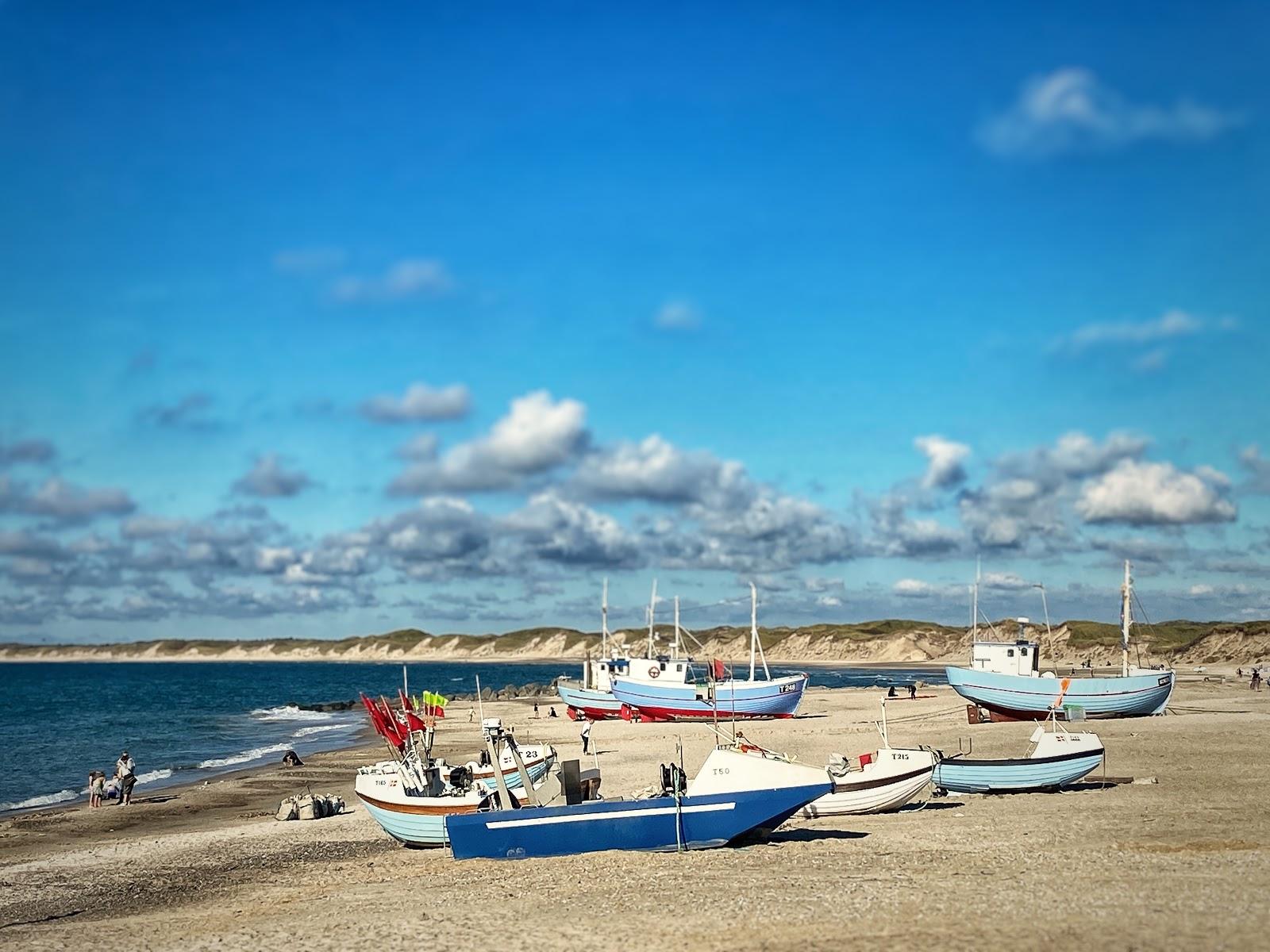 Sandee - The Beach In Vorupør