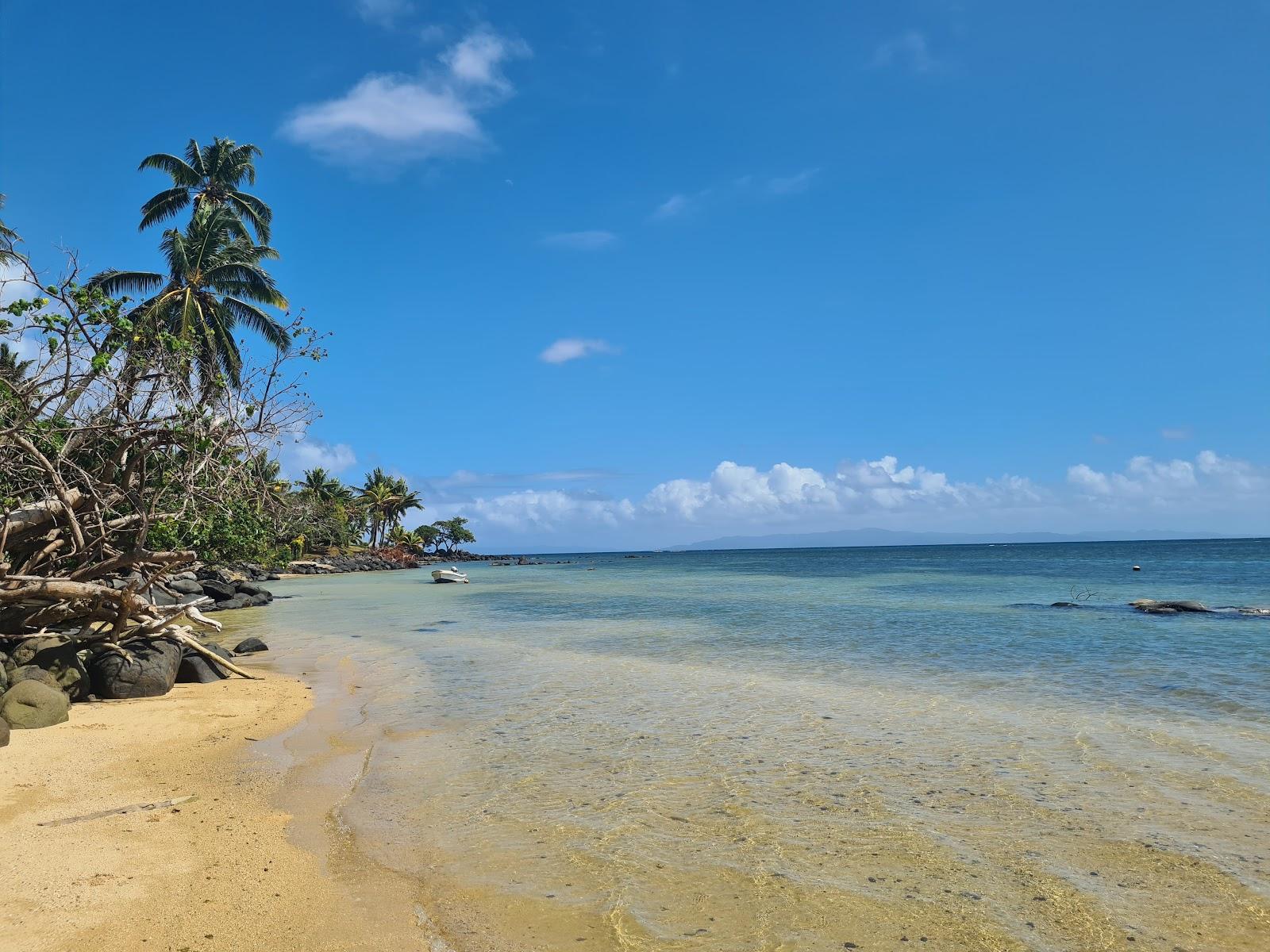 Sandee Coconut Grove Beachfront Cottages